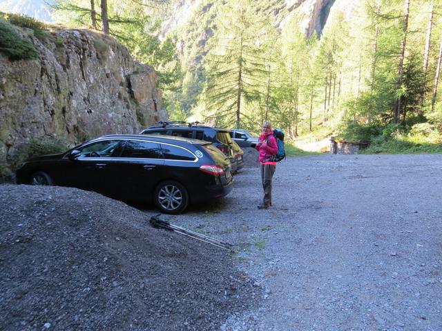 mit dem Auto sind wir danach ins Vallon de Van bis zum Parkplatz bei Van d'en Haut 1395 m.ü.M. gefahren