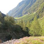 Blick talauswärts in das Vallon de Van