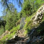 der Wanderweg wird nun ein Bergweg und steiler. Er führt uns über Eisentreppen und durch einen schönen Lärchenwald