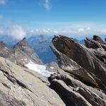 über den wilden, zersägten Felskamm aus Kalk schauen wir zum Plan Névé Gletscher hinunter