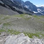 vorbei an Punkt 2403 m.ü.M. taucht langsam aber sicher die Vegetation wieder auf