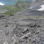 ...eine Wegspur und der unten uns liegende Lac de Salanfe, zeigen uns aber sicher die richtige Richtung an