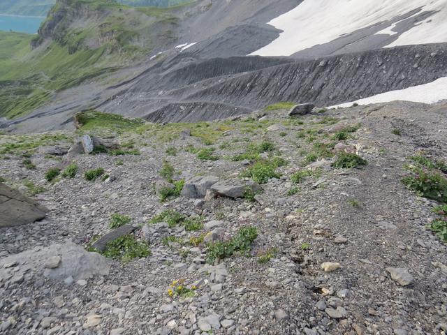 an Punkt 2259 m.ü.M. vorbei, wandern wir weiter steil abwärts