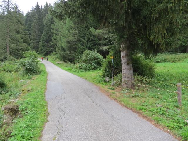 vom Parkplatz in Fäld wo wir aus dem Postauto aussteigen, laufen wir danach auf der Fahrstrasse Richtung Osten