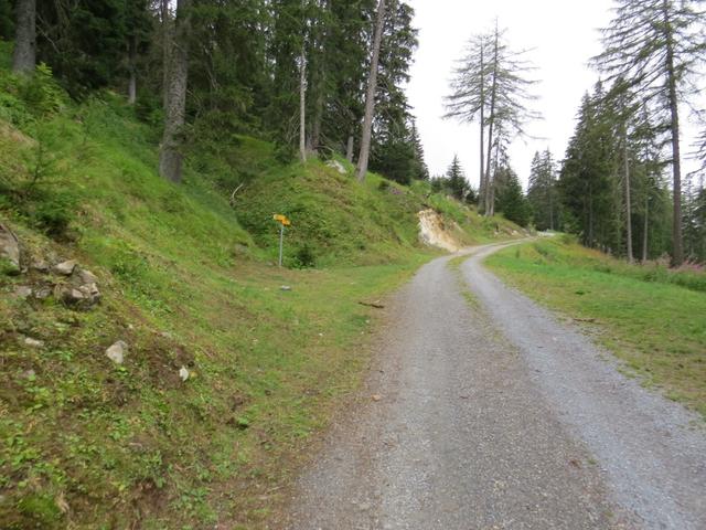 bei Punkt 1713 m.ü.M. folgen wir kurz den Fahrweg Richtung Westen...