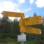 ...zur Weggabelung Punkt 2004 m.ü.M. Der links abbiegende Wanderweg zum Mässersee beachten wir nicht,...