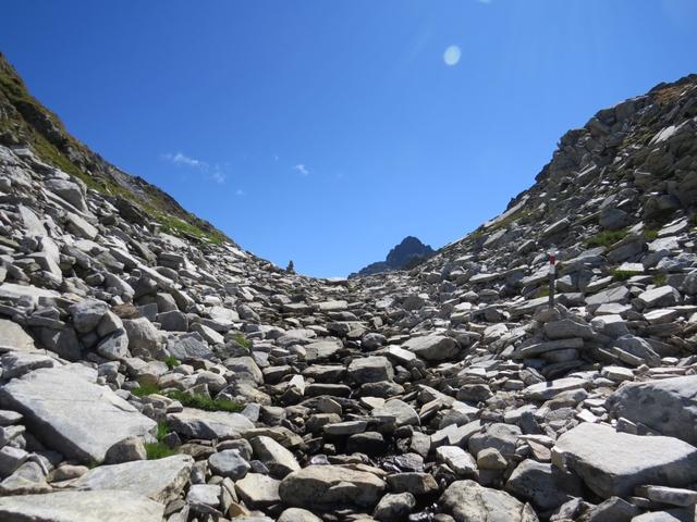 der letzte Aufstieg führt uns nun durch den kleinen Einschnitt zwischen zwei Felsnasen 2456 m.ü.M.