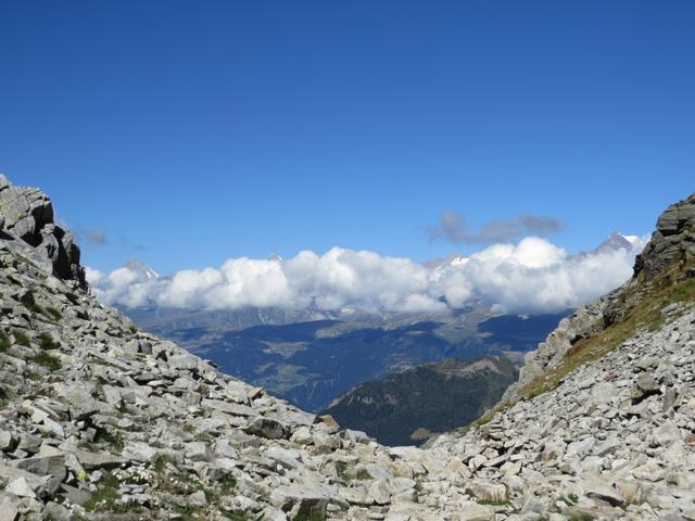 Blick über das Rhonetal in die Walliser- und Berner Alpen