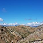 der Blick reicht bis in die Walliser- und Berner Alpen. Wir erkennen Bietschhorn, Nesthorn und Aletschhorn