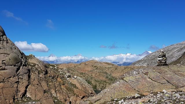 der Blick reicht bis in die Walliser- und Berner Alpen. Wir erkennen Bietschhorn, Nesthorn und Aletschhorn