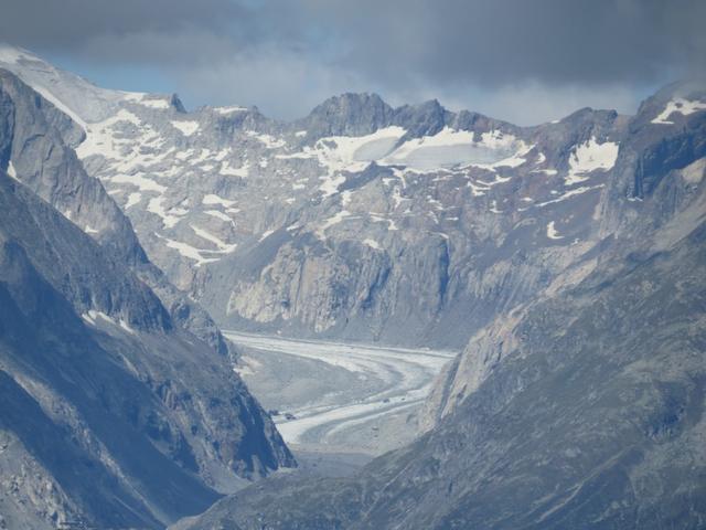 ...zum grosser Aletschgletscher