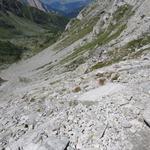 der steile durch eine Geröllhalde aus schiefrigen Platten führende Bergweg steht uns nun bevor