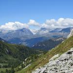 am Horizont ist der grosser Aletschgletscher erkennbar