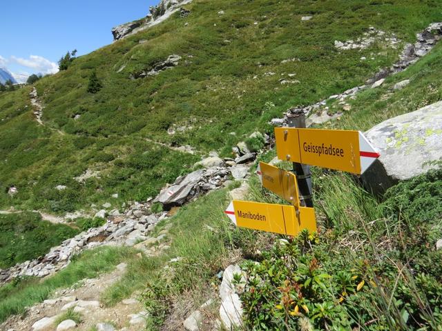 bei der Weggabelung wandern wir über den Bergrücken geradeaus weiter