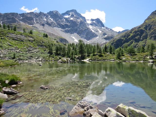 der Mässersee entspricht ganz dem Bild des idyllischen Bergsees bewacht vom dunklen Felsmassiv des Schwarzhorns