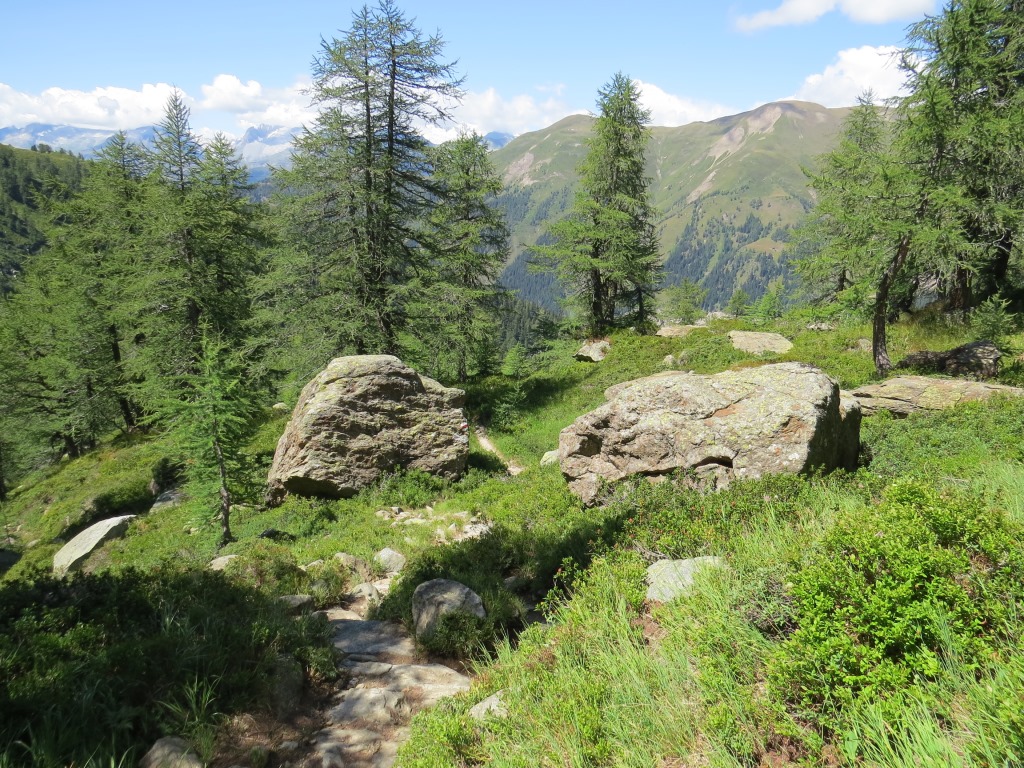 ...durch lichten Lärchenwald...