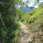 das Binntal ist kein dramatisch-hochalpines, spektakuläres Alpental, aber mit seiner harmonischen Mischung...