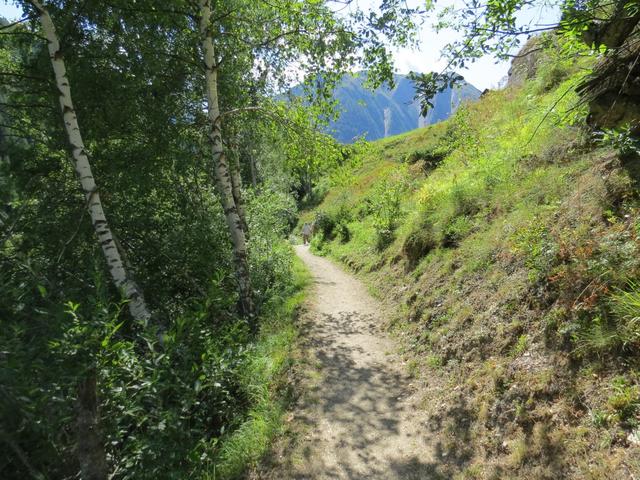 das Binntal ist kein dramatisch-hochalpines, spektakuläres Alpental, aber mit seiner harmonischen Mischung...