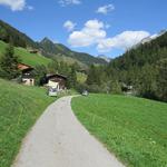 bei Punkt 1469 m.ü.M. erreichen wir eine Alpstrasse die uns zur Haupttrasse 1422 m.ü.M. hinunterbringt