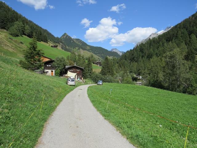 bei Punkt 1469 m.ü.M. erreichen wir eine Alpstrasse die uns zur Haupttrasse 1422 m.ü.M. hinunterbringt