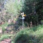 im Wald von Täl stossen wir auf eine Forstrasse, die bis zu den Lawinenverbauungen unter dem Kamm ansteigt