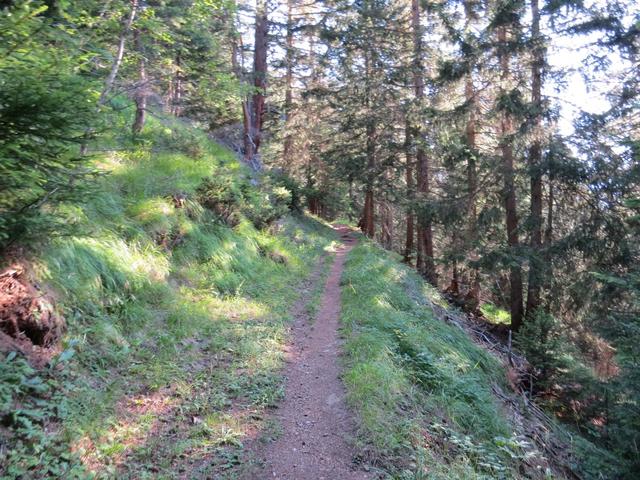 wie geplant bleiben wir auf dem Wanderweg der einen direkteren Verlauf nimmt,...