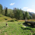 wir gelangen zur Weggabelung auf der Alp Meili 2020 m.ü.M. unter dem Grasrücken von Burstini