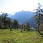 Blick in das Binntal das wir unterdessen erkundet haben