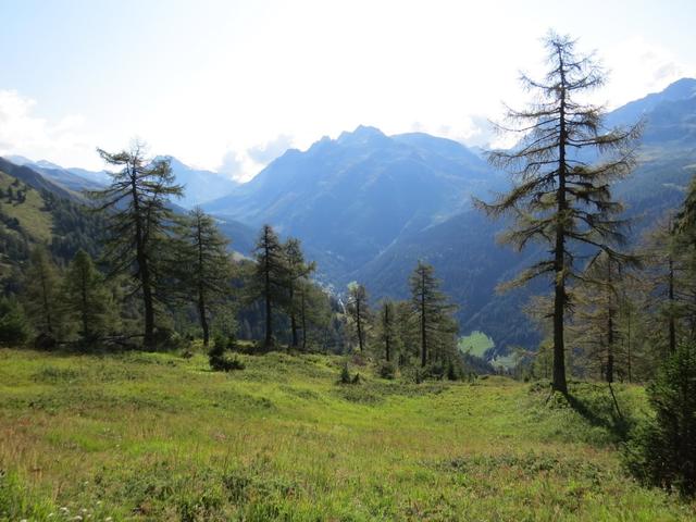 Blick in das Binntal das wir unterdessen erkundet haben