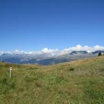 hier öffnet sich ein erster grandioser Blick über die Rhonetalfurche auf die Berner Hochalpen