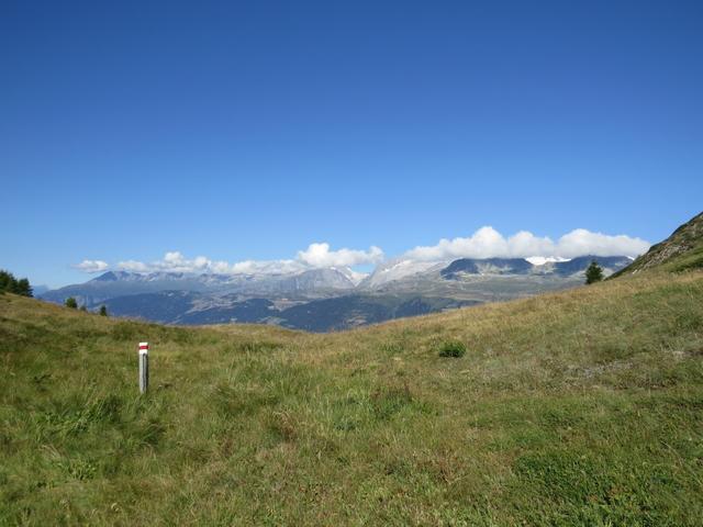 hier öffnet sich ein erster grandioser Blick über die Rhonetalfurche auf die Berner Hochalpen