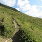 der Gipfelweg steigt nun in weiten Schleifen weiter an der Südflanke des Eggerhorns an