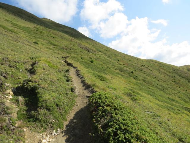 der Gipfelweg steigt nun in weiten Schleifen weiter an der Südflanke des Eggerhorns an