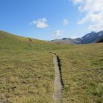 unter dem Gipfel quert man flach hinüber in die weite Wiesensenke der Schafgale 2460 m.ü.M.