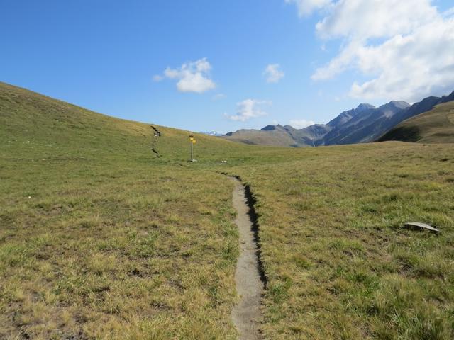 unter dem Gipfel quert man flach hinüber in die weite Wiesensenke der Schafgale 2460 m.ü.M.