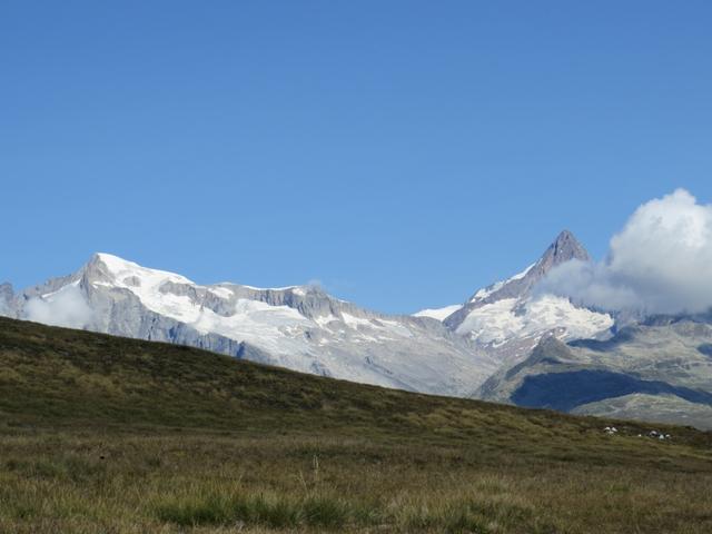 die Aussicht wird immer umfassender. Blick auf Finsteraarhorn, Fiescherhörner und links das Wannenhorn