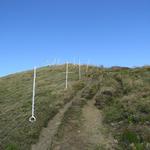 kurz vor dem "offiziellen" Gipfel mit Gipfelkreuz, Gipfelbuch und Wegweiser