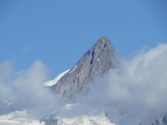 das Finsteraarhorn