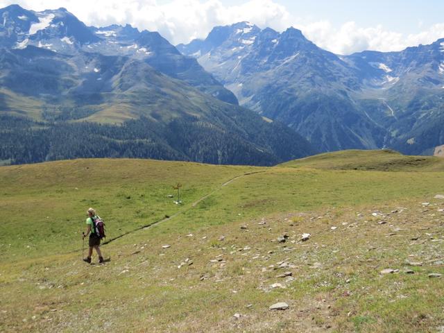 auf dem Weg zum Grassattel von Sattulti