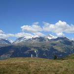 ...und sind vom Panorama schlicht überwältigt. Nesthorn, Geisshorn Aletschhorn, Eiger und Jungfrau