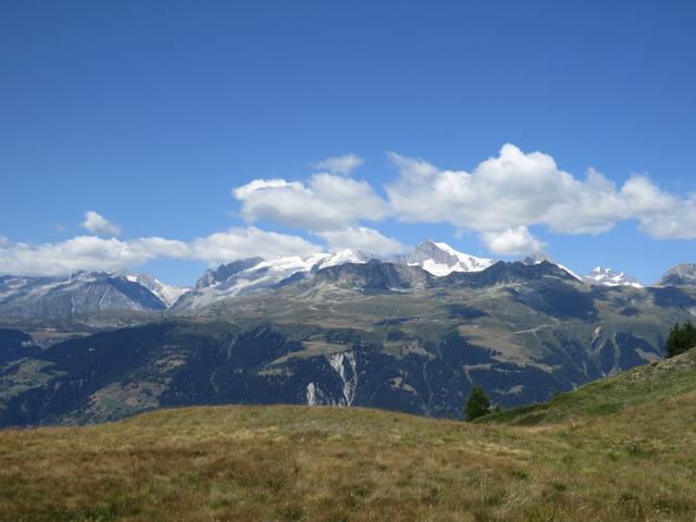 ...und sind vom Panorama schlicht überwältigt. Nesthorn, Geisshorn Aletschhorn, Eiger und Jungfrau