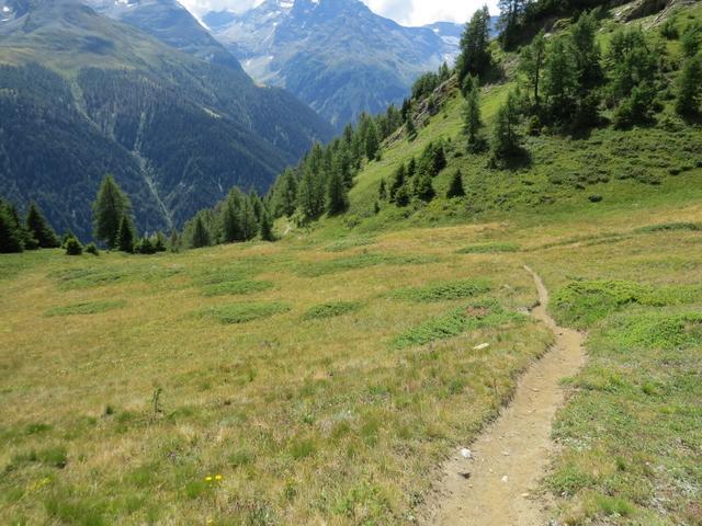 es geht hinunter zur Alp Meili