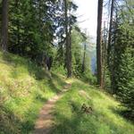 über weite Schleifen wandern wir auf diesem schönen Waldweg...