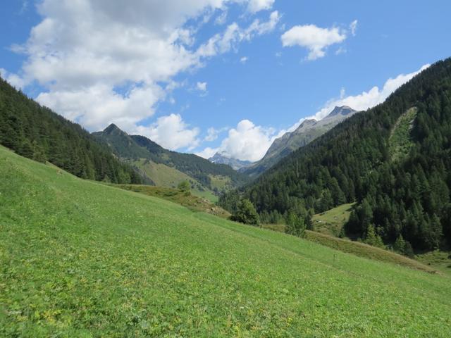 Blick taleinwärts ins Binntal