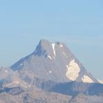 das Lauteraarhorn