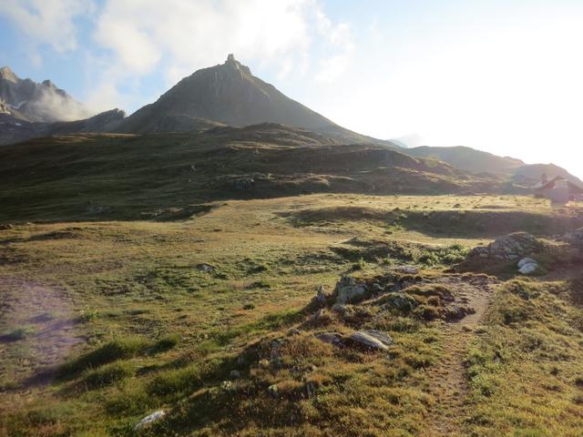 von der Raststätte auf dem Nufenenpass folgen wir nordostwärts der deutlichen,...