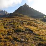 wir sind gespannt wie der Bergweg aussehen wird, der uns zum Gipfel des Chilchhorn führen wird