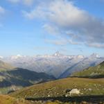 was für eine Aussicht! Wie eine Perlenkette schön aufgereiht, Aletschhorn, Finsteraarhorn und Lauteraarhorn