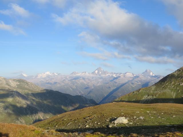 was für eine Aussicht! Wie eine Perlenkette schön aufgereiht, Aletschhorn, Finsteraarhorn und Lauteraarhorn