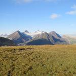 was für ein Bergkranz! Ofenhorn, Bettelmatthorn, Rothorn, Blinnenhorn, Faulhorn und Griesgletscher